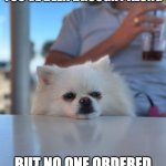 Dog pissed of | WHEN YOU REALIZE YOU’VE BEEN BROUGHT ALONG; BUT NO ONE ORDERED ANYTHING FOR YOU. | image tagged in dog pissed of | made w/ Imgflip meme maker