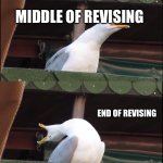 Studying | STARTING TO REVISE FOR A TEST; MIDDLE OF REVISING; END OF REVISING; NOT UNDERSTANDING ANYTHING YOU’VE STUDIED | image tagged in memes,inhaling seagull | made w/ Imgflip meme maker