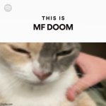 This is MF DOOM