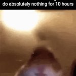 idk what to type (16) | Turtle owners watching them do absolutely nothing for 10 hours | image tagged in gifs,memes,funny,turtles,turtle | made w/ Imgflip video-to-gif maker