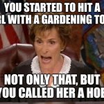 Does anyone get it? | YOU STARTED TO HIT A GIRL WITH A GARDENING TOOL. NOT ONLY THAT, BUT YOU CALLED HER A HOE. | image tagged in judge judy,memes,funny,why are you reading this | made w/ Imgflip meme maker