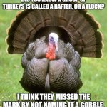 Group of turkeys | DID YOU KNOW A GROUP OF TURKEYS IS CALLED A RAFTER, OR A FLOCK? I THINK THEY MISSED THE MARK BY NOT NAMING IT A GOBBLE. | image tagged in memes,turkey | made w/ Imgflip meme maker