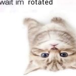 wait im rotated meme