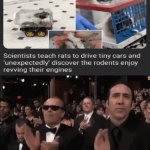 Rats | image tagged in gifs,rats,rat,memes,cars,i see this as an absolute win | made w/ Imgflip video-to-gif maker