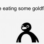 God I haven’t posted a meme since forever | Me eating some goldfish:; Everyone else at the aquarium: | image tagged in yummy,goldfish,bon appetit | made w/ Imgflip video-to-gif maker