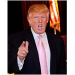 Donald trump pointing angrily