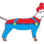 left mario dog