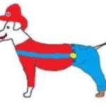 right mario dog