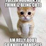 I am become Death, the Destoyer of Curtains, Scratcher of Faces. | FULISH HOOMAN YU THINK IZ BEING CUTE; AM RELLY BOUT GO KNIFEY-HANDSIES | image tagged in memes,cute cat | made w/ Imgflip meme maker