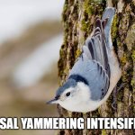 Nasal Yammering Intensifies template