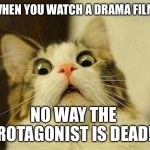 Scared Cat Meme | WHEN YOU WATCH A DRAMA FILM:; NO WAY THE 
PROTAGONIST IS DEAD!!! | image tagged in memes,scared cat,cat,drama | made w/ Imgflip meme maker