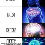 poo | POOP; POO; KAKA; LITTL' DROPPINS OF BROWN CRAP | image tagged in memes,expanding brain | made w/ Imgflip meme maker