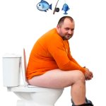 Miami Dolphin’s