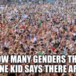 We all know that one kid | HOW MANY GENDERS THAT ONE KID SAYS THERE ARE | image tagged in large crowd | made w/ Imgflip meme maker