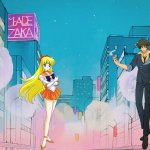 Cowboy bebop in sailor moon