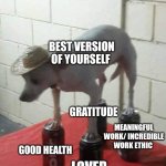 Chihuahua in Hat Balancing on Four Loko Cans | BEST VERSION OF YOURSELF; GRATITUDE; MEANINGFUL WORK/ INCREDIBLE WORK ETHIC; GOOD HEALTH; LOVED ONES | image tagged in chihuahua in hat balancing on four loko cans | made w/ Imgflip meme maker