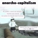 anarcho-capitalisim