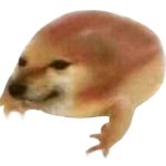 cheems frog (transparent)