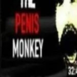 the penis monkey meme