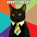 Business Cat Meme | UPVOTE FOR CAT | image tagged in memes,business cat,funny | made w/ Imgflip meme maker