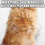 Dirty look | WHEN PEOPLE SAY THERAPEUTIC REC IS JUST PLAY AND DIVERSION | image tagged in dirty look | made w/ Imgflip meme maker