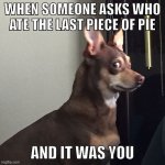 Last piece of pie | WHEN SOMEONE ASKS WHO ATE THE LAST PIECE OF PIE; AND IT WAS YOU | image tagged in guilty dog | made w/ Imgflip meme maker