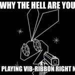 Vibri Is Mad You Aren't Playing Vib Ribbon Right Now | WHY THE HELL ARE YOU; NOT PLAYING VIB-RIBBON RIGHT NOW | image tagged in vibri with a gun | made w/ Imgflip meme maker