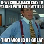 That Would Be Great | IF WE COULD TEACH CATS TO PAY RENT WITH THEIR ATTITUDE; THAT WOULD BE GREAT | image tagged in memes,that would be great | made w/ Imgflip meme maker