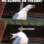 yeeaaaaaaaaaaaaaassssssssssssssssssssss | NO SCHOOL ON  MONDAY; NO SCHOOL ON TUESDAY; NO SCHOOL ON WENSDAY; ITS THE HOLIDAYS NOW | image tagged in memes,inhaling seagull | made w/ Imgflip meme maker