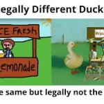 legally different duck song