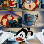 Fat Guy Animaniacs