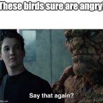 Say that again? | These birds sure are angry! | image tagged in say that again,angry birds,fantastic four,marvel | made w/ Imgflip meme maker