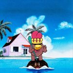 COQINU Master Roshi