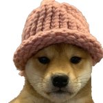 dogwifhat template