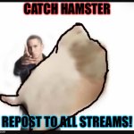 Catch | CATCH HAMSTER; REPOST TO ALL STREAMS! | image tagged in repost | made w/ Imgflip meme maker