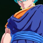 Transforming vegito lf winscreen