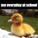 sleppyyyyyyyyyyyy.. | me everyday at school | image tagged in gifs,relatable,school | made w/ Imgflip video-to-gif maker