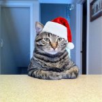 Take A Seat Cat Meme | 1 MONTH; IN 1 MONTH IT WILL BE CHRISTMAS | image tagged in memes,take a seat cat,cat,xmas,christmas | made w/ Imgflip meme maker