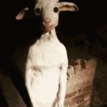 Goat of all goats! | image tagged in gifs,goat | made w/ Imgflip video-to-gif maker