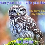 Pizza distracts many | When your mom calls you down; …for pizza | image tagged in you have caught my attention owl,pizza,owl,distraction | made w/ Imgflip meme maker