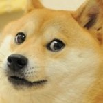 doge meme - banner