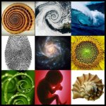 Spirals in Nature