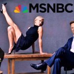 Elon Musk is buying MSNBC, fires Joe and Mika meme