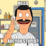 Hello Are You Stupid? | HELLO; ARE YOU STUPID? | image tagged in bob's burgers calling | made w/ Imgflip meme maker