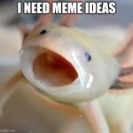 :I | I NEED MEME IDEAS | image tagged in axolotl | made w/ Imgflip meme maker