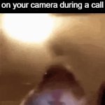 something here | when you accidently turn on your camera during a call | image tagged in gifs,memes | made w/ Imgflip video-to-gif maker