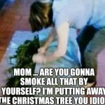 Mom Are You Gonna Smoke All That By Yourself? I'm Putting Away The Christmas Tree You Idiot | MOM ... ARE YOU GONNA SMOKE ALL THAT BY YOURSELF? I'M PUTTING AWAY THE CHRISTMAS TREE YOU IDIOT | image tagged in chris joines | made w/ Imgflip meme maker