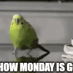 POV: Monday | POV: HOW MONDAY IS GOING | image tagged in gifs,monday,explosion | made w/ Imgflip video-to-gif maker