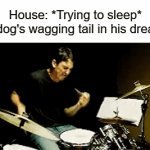 i love dogs, but... my god their tails are annoying af | House: *Trying to sleep*
My dog's wagging tail in his dreams: | image tagged in gifs,funny,memes,dogs | made w/ Imgflip video-to-gif maker