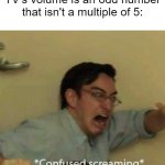 That little bit of perfectionism in all of us. | When you visit someone else's house and their TV's volume is an odd number that isn't a multiple of 5: | image tagged in confused screaming | made w/ Imgflip meme maker